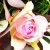 Vysnívaná ružová kytica na Deň matiek