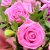 Kytica s ružovými ľaliami a ružami